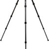 Benro FGP18A SystemGo Plus Tripod Aluminum - Camera and Gears