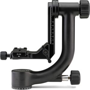 Benro GH2 Carbon Fiber Gimbal Head - Camera and Gears
