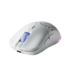 Tecware Pulse Wireless Ambidextrous Gaming Mouse - Computer Accessories