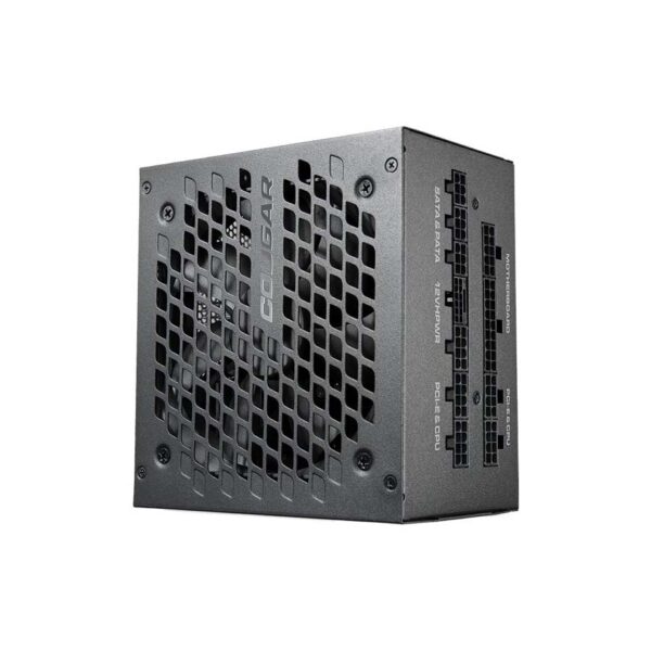 COUGAR GEX X2 850W | 1000W 80+ Gold Full-Modular ATX3.0/PCIE 5/12HPWR/APFC/Gaming Power Supply - Power Sources
