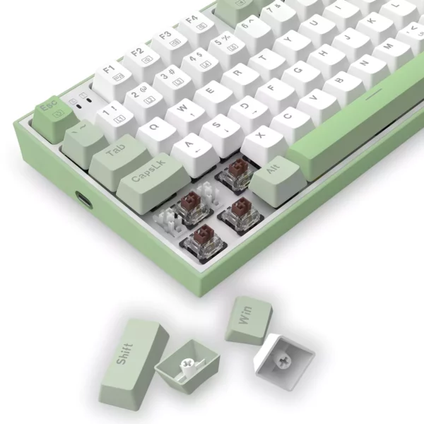 s134 winter green mech keyboard btz ph (3)